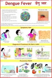 Dengue Fever (50x70cm) product image
