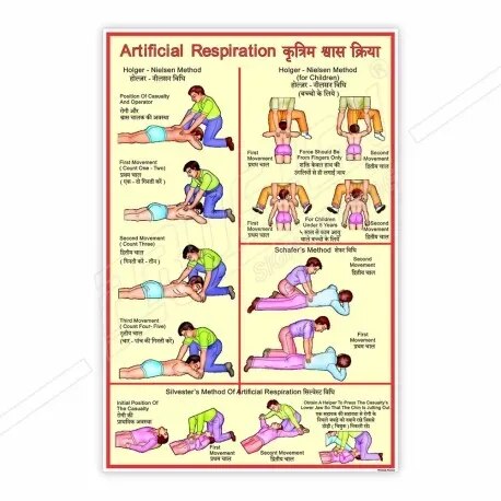 Artificial Reapiration (50x70cm) product image