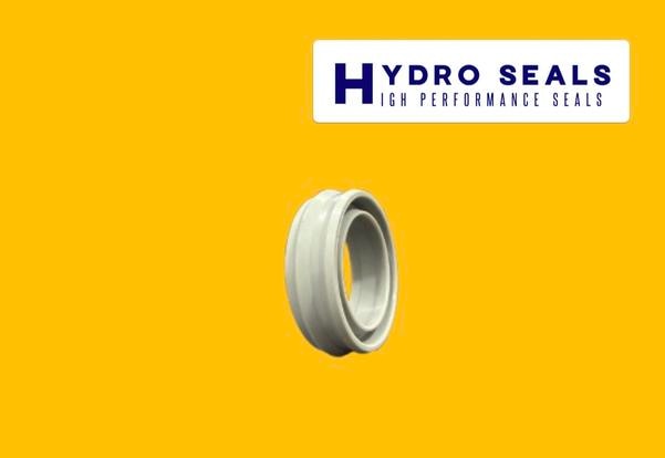 Pneumatic Bi-Directional Wiper Seal