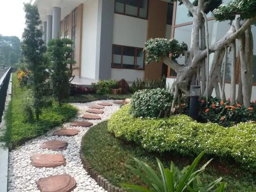 Professional Landscaping Services in Chennai for Homes & Commercial Spaces product image