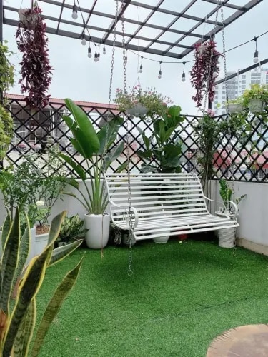 Best Terrace Garden Setup Experts in Chennai product image
