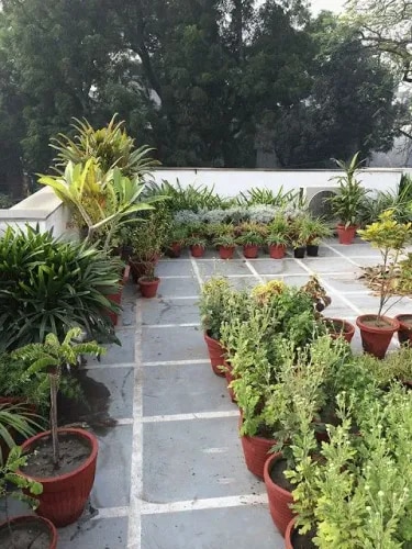 Modern Terrace Garden Design & Maintenance in Chennai product image