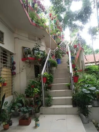 Eco-Friendly Terrace Gardening Experts in Chennai product image