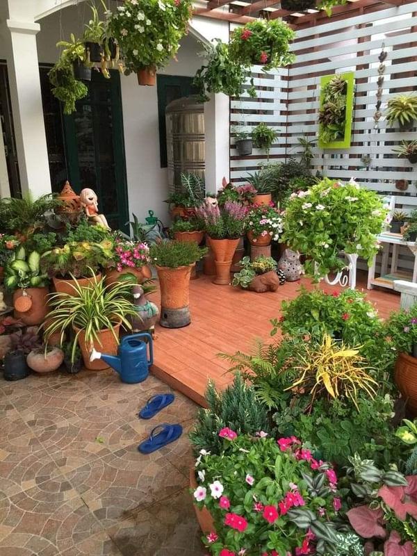 Balcony & Terrace Garden Setup Services in Chennai product image