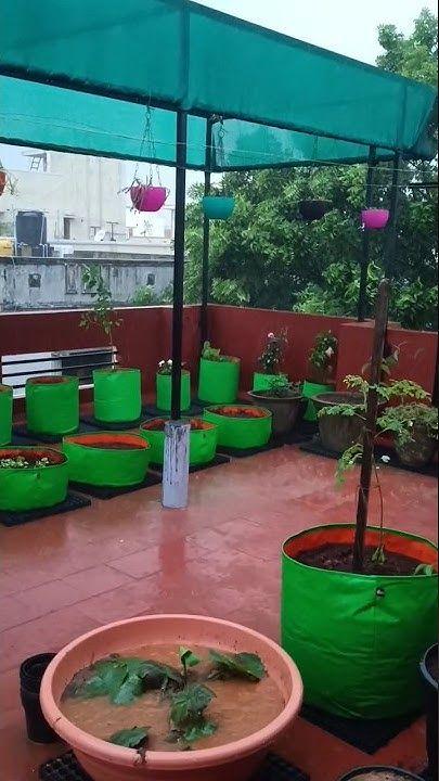 Terrace Garden Waterproofing & Setup Service in Chennai product image