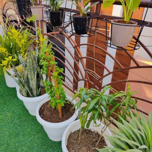 Premium Terrace Gardening Service for Villas in Chennai product image
