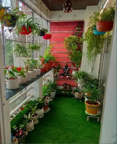Professional Balcony Garden Setup in Chennai product image