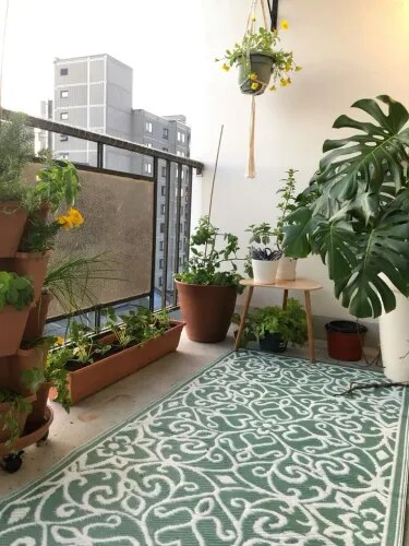 Low-Maintenance Balcony Garden Setup in Chennai product image