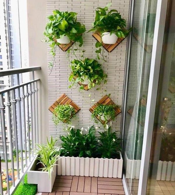 Small Balcony Gardening Ideas & Setup in Chennai product image