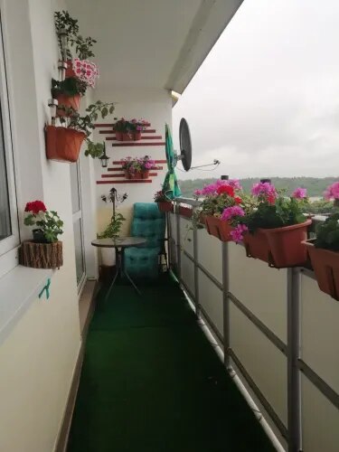 Professional Balcony Garden Maintenance in Chennai product image