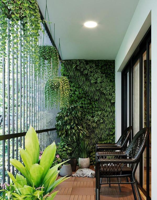 Terrace & Balcony Gardening Experts in Chennai product image