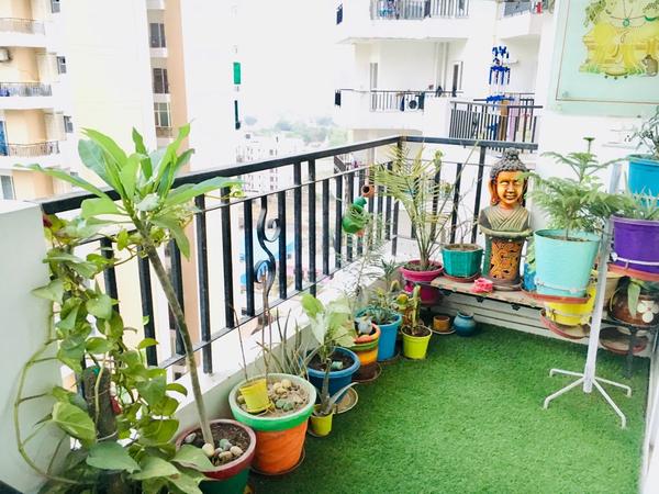 Modern Minimalistic Balcony Garden Designs in Chennai product image