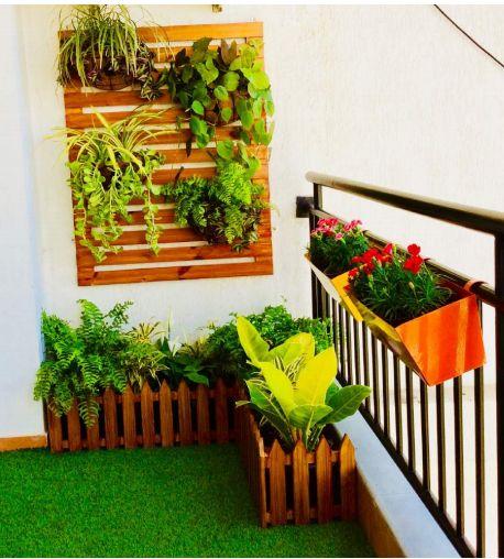 Budget-Friendly Balcony Gardening Service in Chennai product image