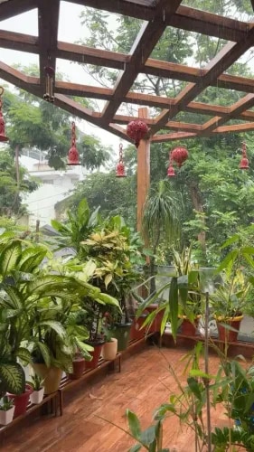 Balcony Gardening with Drip Irrigation Setup in Chennai product image