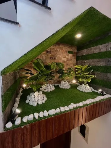 Indoor Plant Care Experts Chennai product image
