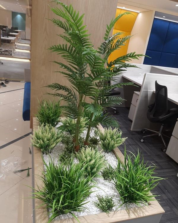 Professional Indoor Garden Setup Chennai product image