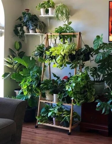 Indoor Gardening Contractors Chennai product image
