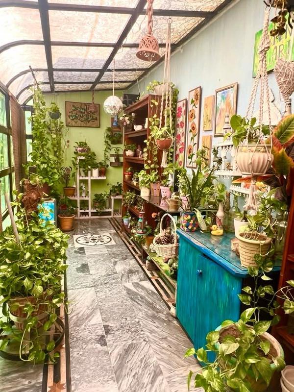 Indoor Plant Decoration Service Chennai