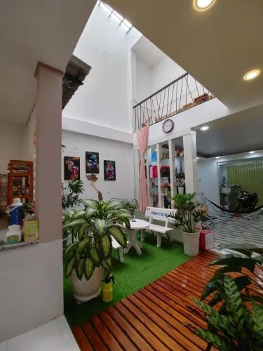 Indoor Garden Landscaping Chennai product image