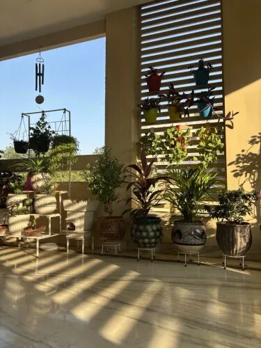Indoor Garden Care Chennai product image