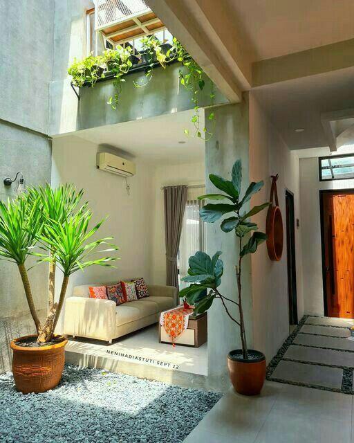 Indoor Plant Styling Experts Chennai product image