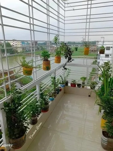 Indoor Gardening for Apartments Chennai product image