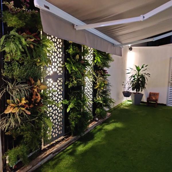 Indoor Plant Care & Maintenance Chennai product image