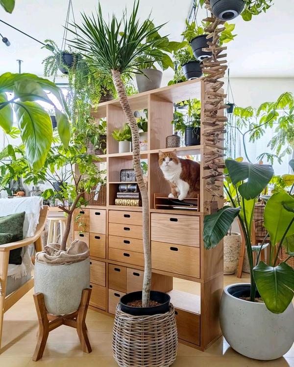 Indoor Garden Decoration Service Chennai