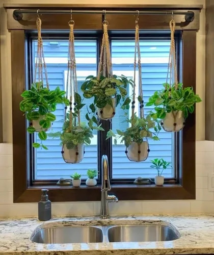 Indoor Gardening Consultancy Chennai product image