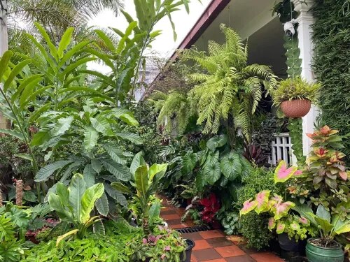 Outdoor Gardening Service in Chennai product image