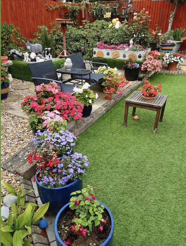 Professional Outdoor Gardening Experts Chennai product image