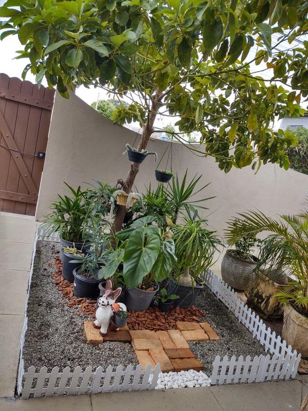 Outdoor Garden Improvement Services Chennai