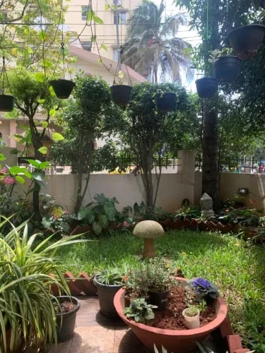 Outdoor Garden Soil & Manure Service Chennai product image
