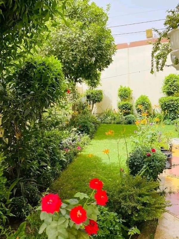 Outdoor Garden Pest Control Solutions Chennai product image