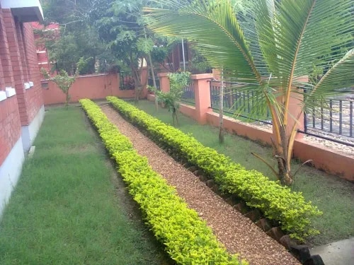 Outdoor Garden Cleanup & Restoration Chennai product image