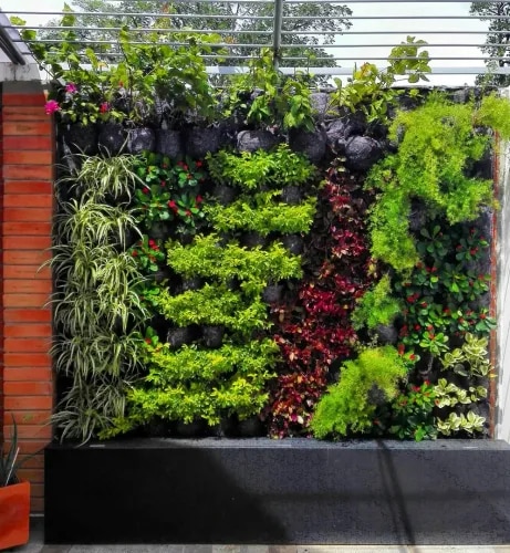 Outdoor Vertical Garden Setup Chennai product image