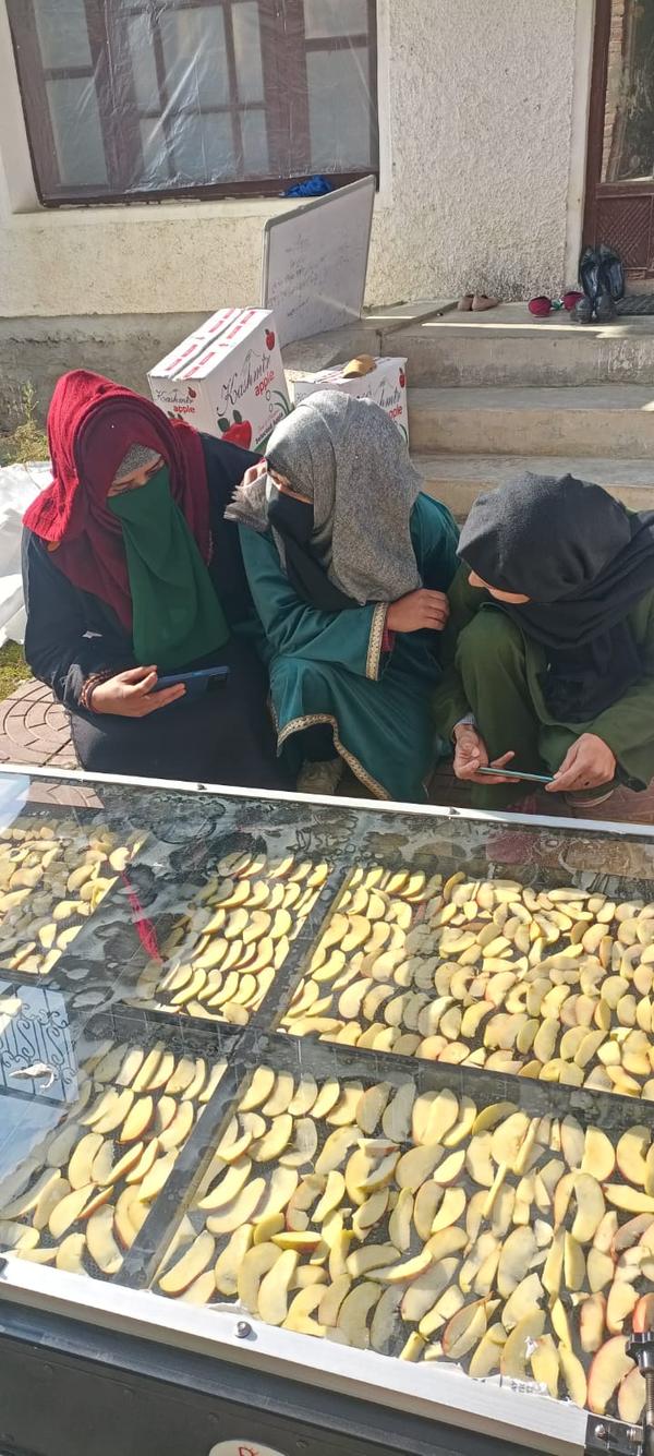 # **Solar Papaya Dryer – Advanced Solar Drying Solution for High-Quality Papaya Dehydration**The **Solar Papaya Dryer** by **Rudra Solar Energy** is a scientifically engineered solar-powered drying system designed to deliver **perfectly dehydrated papaya slices and papaya flakes** with maximum retention of colour, taste, and nutrients. This high-efficiency **solar papaya dehydrator** uses clean solar energy to remove moisture from papaya in a controlled, hygienic, and cost-effective manner.Our **solar dryer for papaya** ensures uniform drying through regulated airflow, food-grade trays, and temperature-optimized solar heating, producing export-grade dried papaya suitable for **snacks, sweets, bakery, beverages, and health food industries**. The machine is ideal for farmers, processors, SHGs, FPOs, food start-ups, and commercial papaya drying businesses.---## ⭐ **Key Features of Solar Papaya Dryer*** Specially designed for **papaya slice drying and papaya flake dehydration*** **100% solar-powered drying** with optional hybrid (solar + electric) model* Maintains natural **colour, aroma, texture, and nutrient value*** **Hygienic food-grade stainless steel trays*** Controlled warm air circulation for **uniform dehydration*** Fully enclosed, dust-free, insect-proof drying chamber* Energy-efficient, eco-friendly, and zero operating cost (solar mode)* Suitable for **commercial papaya processing and value addition**---## 🍃 **Why Use a Solar Dryer for Papaya?*** Prevents spoilage of ripe papaya and reduces **post-harvest losses*** Produces high-value dried papaya used in **breakfast cereals, confectionery, bakeries, juice blends, and export markets*** Promotes **sustainable food processing** with clean energy* Allows small farmers and entrepreneurs to earn more by **value-added papaya products*** Gives consistent, high-quality output without chemicals or preservatives---## 🌀 **How the Solar Papaya Dryer Works**1. Sunlight heats the solar drying chamber2. Warm, filtered air passes over papaya slices on trays3. Moisture evaporates gradually and escapes through vents4. Output: **Naturally dried papaya** with rich colour and soft-chewy textureThis process ensures **fast papaya drying**, better shelf life, and minimal nutrient loss.---## 🔍 **SEO Keywords Included****Solar Papaya Dryer, Solar Dryer for Papaya, Solar Papaya Dehydrator, Papaya Drying Machine, Solar Fruit Dryer, Commercial Solar Dryer for Papaya, Papaya Solar Drying System, Industrial Solar Papaya Dryer, Dry Papaya Dryer Machine, Solar Food Dehydrator, Solar Papaya Slice Dryer, Papaya Processing Machine, Solar Powered Papaya Dryer, Natural Papaya Drying Technology, Papaya Value Addition Dryer.**---## 📦 **Applications*** Drying of **papaya slices, papaya flakes, papaya pulp sheets, tropical fruits, vegetables, herbs*** Suitable for **farmers, food processors, SHGs, FPO/FPC, women groups, agribusiness units, export units**---## 🌞 **Why Rudra Solar Energy?**Rudra Solar Energy is one of India’s leading manufacturers of **premium-grade solar dryers**, tested with **400+ food products**. Our dryers offer **faster drying, high durability, energy savings**, and **excellent quality output**, making us a trusted partner for papaya processing.