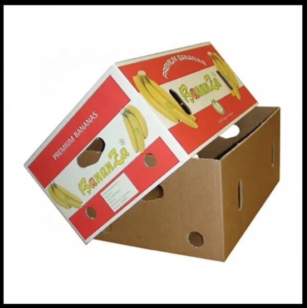 Export Quality BANANA BOX