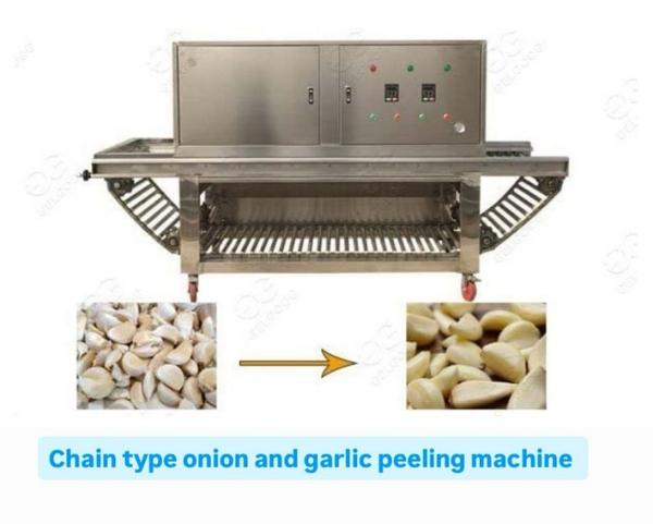 Lahsun Chilne Ki Machine ManufacturersWe are also supply in Andhra Pradesh, Arunachal Pradesh, Assam, Bihar, Chhattisgarh, Goa, Gujarat, Haryana, Himachal Pradesh, Jharkhand, Karnataka, Kerala, Madhya Pradesh, Maharashtra, Manipur, Meghalaya, Mizoram, Nagaland, Odisha, Punjab, Rajasthan, Sikkim, Tamil Nadu, Telangana, Tripura, Uttar Pradesh, Uttarakhand, and West BengalCapacity	100 kg/hrCapacity(Kg/Hr)	100 kg/hrProduct To Be Peeled	GarlicType	Dry TypeAutomation Grade	AutomaticUsage/Application	IndustrialMaterial	Stainless SteelElectricity Phase	Three PhaseI Deal In	New and Second HandCountry of Origin	Made in IndiaMinimum order quantity: 50 Piece Welcome to RAGHUVEER ENGINEERING - Your Trusted Partner for Garlic Peeling Solutions!  Looking for the perfect garlic peeling machine for your processing needs? You've come to the right place! At RAGHUVEER ENGINEERING, we specialize in designing, manufacturing, and delivering high-quality garlic peeling machines that streamline your production process and enhance efficiency.  Product Features: Cutting-edge technology for precise and efficient peeling Stainless steel construction for durability and hygiene User-friendly interface for easy operation Customizable options to suit your specific requirements Compact design for space-saving installation  Our Range of Machines: 10kg to 30kg/hr : Ideal for small-scale operations or restaurant kitchens. 50kg to 100kg/hr : Perfect for medium-sized production facilities. 150 to 1000kg/hr : Designed for large-scale industrial processing.  Why Choose [Manufacturer Name]? Over 19 years of experience in the industry. Dedicated customer support team to assist you every step of the way. Global shipping options available for worldwide delivery. Comprehensive warranty coverage for peace of mind.  Contact Us Today! Ready to revolutionize your garlic peeling process? Contact us today to learn more about our products and how they can benefit your business. Don't settle for anything less than the 