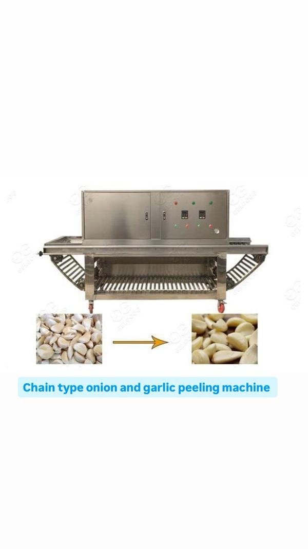 Dry Garlic Peeling Machine ManufacturersWe are also supply in Andhra Pradesh, Arunachal Pradesh, Assam, Bihar, Chhattisgarh, Goa, Gujarat, Haryana, Himachal Pradesh, Jharkhand, Karnataka, Kerala, Madhya Pradesh, Maharashtra, Manipur, Meghalaya, Mizoram, Nagaland, Odisha, Punjab, Rajasthan, Sikkim, Tamil Nadu, Telangana, Tripura, Uttar Pradesh, Uttarakhand, and West BengalCapacity	50 kg/hrCapacity(Kg/Hr)	50 kg/hrType	Dry TypeProduct To Be Peeled	GarlicAutomation Grade	AutomaticUsage/Application	IndustrialMaterial	Stainless SteelElectricity Phase	Three PhasePower	5 kwWarranty	1 yearMinimum order quantity: 100 PieceWelcome to RAGHUVEER ENGINEERING - Your Trusted Partner for Garlic Peeling Solutions! Looking for the perfect garlic peeling machine for your processing needs? You've come to the right place! At RAGHUVEER ENGINEERING, we specialize in designing, manufacturing, and delivering high-quality garlic peeling machines that streamline your production process and enhance efficiency. Product Features: Cutting-edge technology for precise and efficient peeling Stainless steel construction for durability and hygiene User-friendly interface for easy operation Customizable options to suit your specific requirements Compact design for space-saving installation Our Range of Machines: 10kg to 30kg/hr : Ideal for small-scale operations or restaurant kitchens. 50kg to 100kg/hr : Perfect for medium-sized production facilities. 150 to 1000kg/hr : Designed for large-scale industrial processing. Why Choose [Manufacturer Name]? Over 19 years of experience in the industry. Dedicated customer support team to assist you every step of the way. Global shipping options available for worldwide delivery. Comprehensive warranty coverage for peace of mind. Contact Us Today! Ready to revolutionize your garlic peeling process? Contact us today to learn more about our products and how they can benefit your business. Don't settle for anything less than the best � choose RAGHUVEER ENGINEERING for all your garlic peeling needs!