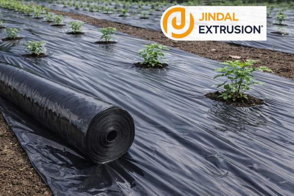 Mulch Film is a UV-stabilized polyethylene agricultural film designed to cover the soil surface for moisture conservation, weed suppression, and temperature regulation. It forms a protective barrier between soil and atmosphere, creating an ideal microclimate for plant growth, resulting in improved crop yield and quality.