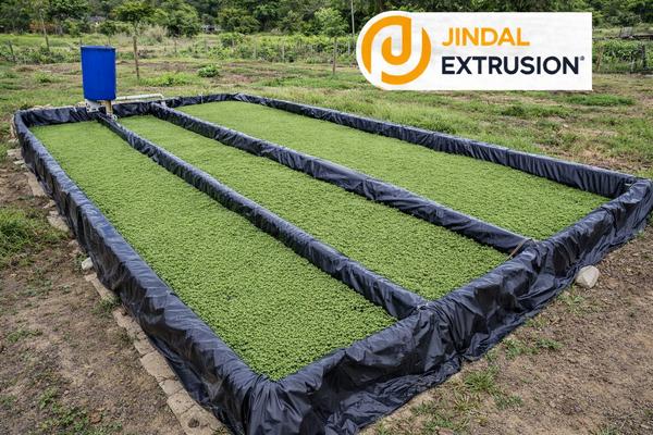An Azolla Bed is a portable, leak-proof cultivation tank fabricated using heavy-duty HDPE laminated or multilayer cross-laminated tarpaulin sheets, specifically designed for mass production of Azolla (aquatic fern) used as high-protein feed for dairy cattle, poultry, goats, and fish.The bed provides a controlled shallow-water environment, preventing seepage and nutrient loss while enabling rapid and uniform Azolla growth, making it a cost-effective and sustainable fodder production solution.