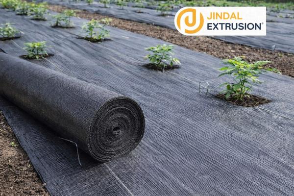 Weed Mats are UV-stabilized woven ground cover fabrics manufactured from HDPE/PP tapes, designed to suppress weed growth while allowing air and water permeability.They create a clean, maintenance-free cultivation surface by blocking sunlight to weeds, conserving soil moisture, and improving field hygiene, making them ideal for nurseries, greenhouses, and agricultural farms.