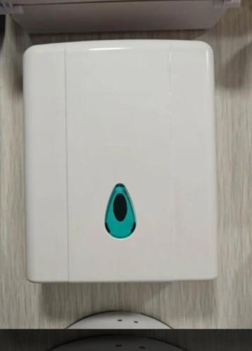 Paper Towel Dispenser