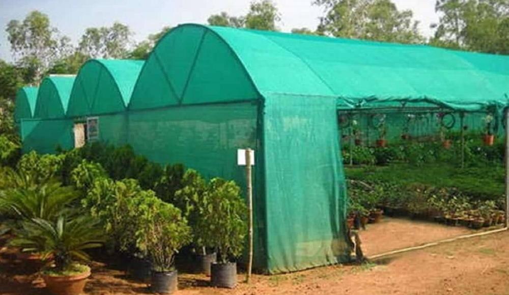 BT DECOR offers premium quality Garden Net solutions designed to protect plants, lawns, and crops from birds, pests, and harsh environmental conditions. Our durable and weather-resistant nets ensure proper airflow and sunlight while safeguarding your garden from damage.Why Choose Garden Net from BT DECOR?✔ Strong & Durable Material – Made from high-quality HDPE/nylon for long-lasting use.✔ UV Stabilized – Resistant to sunlight and harsh weather conditions.✔ Lightweight & Easy Installation – Simple setup for gardens of all sizes.✔ Breathable Design – Allows proper air circulation and sunlight penetration.✔ Multi-Purpose Use – Suitable for plant protection, shading, and fencing.✔ Low Maintenance – Easy to handle and reusable for multiple seasons.Applications of Garden NetHome Gardens & LawnsNurseries & Plant FarmsTerraces & Kitchen GardensAgricultural FieldsGreenhouses & PolyhousesLandscaping ProjectsAt BT DECOR, we focus on delivering high-quality garden protection solutions that help your plants grow safely and healthily. Our garden nets are designed to provide effective protection without affecting plant growth.Choose BT DECOR for strong, reliable, and affordable garden net solutions tailored to your needs.