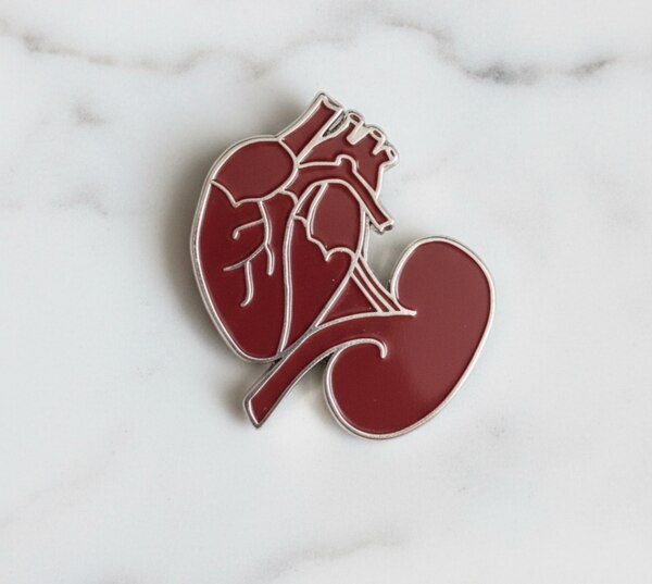 Show your love for science and anatomy with this striking anatomical heart lapel pin. Designed with clean, precise linework, the pin features a deep red enamel fill contrasted by polished metal outlines that highlight the intricate structure of the human heart.Crafted for durability and style, this pin has a smooth, glossy finish and a sturdy backing that keeps it securely in place on jackets, bags, scrubs, or hats. Its minimalist yet detailed design makes it a standout accessory for medical professionals, students, educators, or anyone passionate about biology.Perfect as a thoughtful gift or a unique personal statement piece, this anatomical heart pin blends art and science in a bold, wearable form.