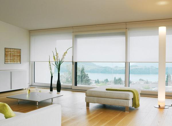 We offer a wide variety of roller blind that are fabricated using superior quality raw materials. Besides their utility also create a visual impact with dramatic architectural forms. Available in a variety of colors and designs, these can be customized as per the requirements of our clients.
