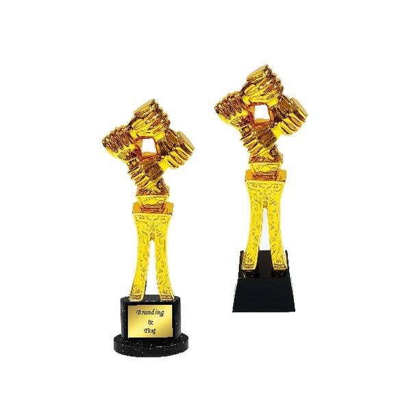 Polyresin trophies are durable, lightweight awards made from high-quality resin, known for their detailed designs and versatile finishes.They offer an elegant, cost-effective solution with customizable options, ideal for sports, corporate, and special events.