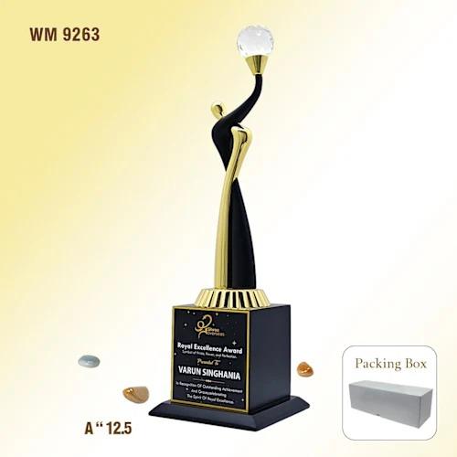 A stylish Wood & Metal Trophy combining natural wooden elegance with sleek metal accents, perfect for any achievement.Durable and customizable, it’s a timeless award designed to celebrate excellence with lasting impact.