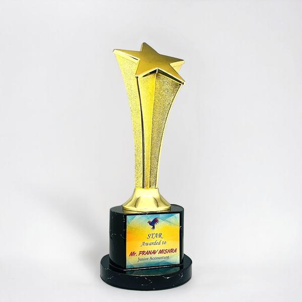 A stylish Wood & Metal Trophy combining natural wooden elegance with sleek metal accents, perfect for any achievement.Durable and customizable, it’s a timeless award designed to celebrate excellence with lasting impact.